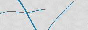 Obrazek CAPTCHA